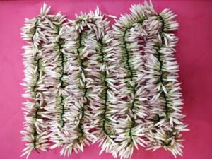 JathiMalliString Jathi Malli String