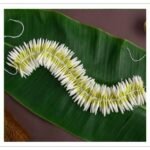 Mullai_String Mullai String