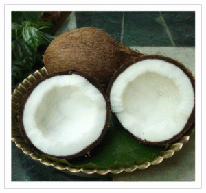Pooja Coconut - Fresh Coconut for Religious Ceremonies