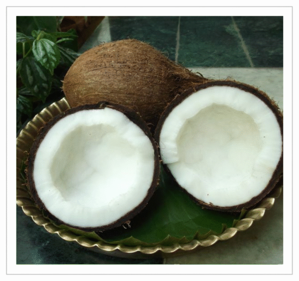 Pooja Coconut - Fresh Coconut for Religious Ceremonies