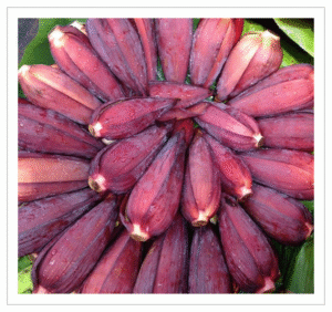 Banana Flower Raw Banana - Fresh Raw Banana for Cooking