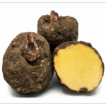 Senai SURAN - Senai Kizhangu