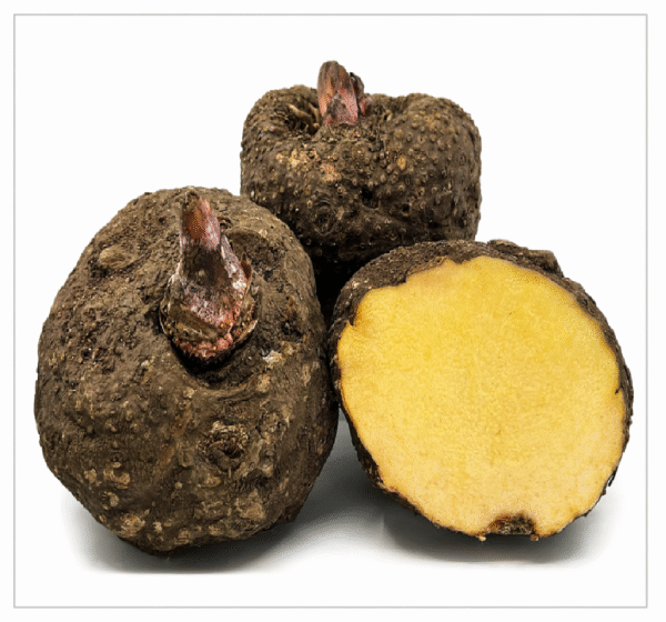 SURAN - Senai Kizhangu